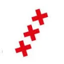 Fysio Punt Zuid logo