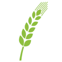 Moneo Advies logo