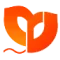 CDR International logo