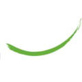 Balance Recruitment Dutch Caribbean logo