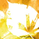 Bert Hellinger Instituut Nederland logo