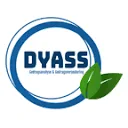 DYASS bv logo