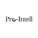 PRO-INTELL SECURITY SOLUTIONS logo