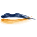 ProefLokaal Limburg logo