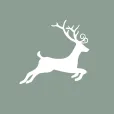 Michel's import-export B.V. / It's all about Christmas logo