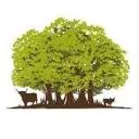 Boeren in het Bos - Grasgevoerd natuurvlees van ècht gezonde dieren logo