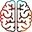 Healthy Brain Study logo