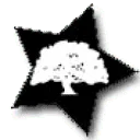 Lost Woods Films logo