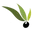 Sabish Naturals logo