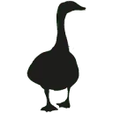 DE KAS VAN KAAT logo