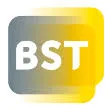 BST Group logo