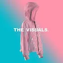 Logo van The Visuals 3D