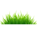Netgras.nl logo