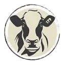 André Hoeve logo