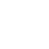 EXES licht en geluid logo