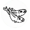 Vishandel Schot-van Dijke logo