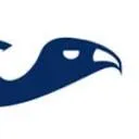De Gier Geveltechniek logo