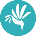 Kingfishers logo