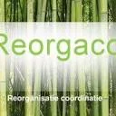 Reorgaco logo