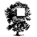 Qrcus logo
