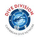 Dive Division logo