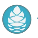 Active Health Foundation logo
