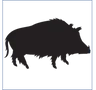 Wild van Wild logo