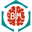 Brainmatters_nl logo